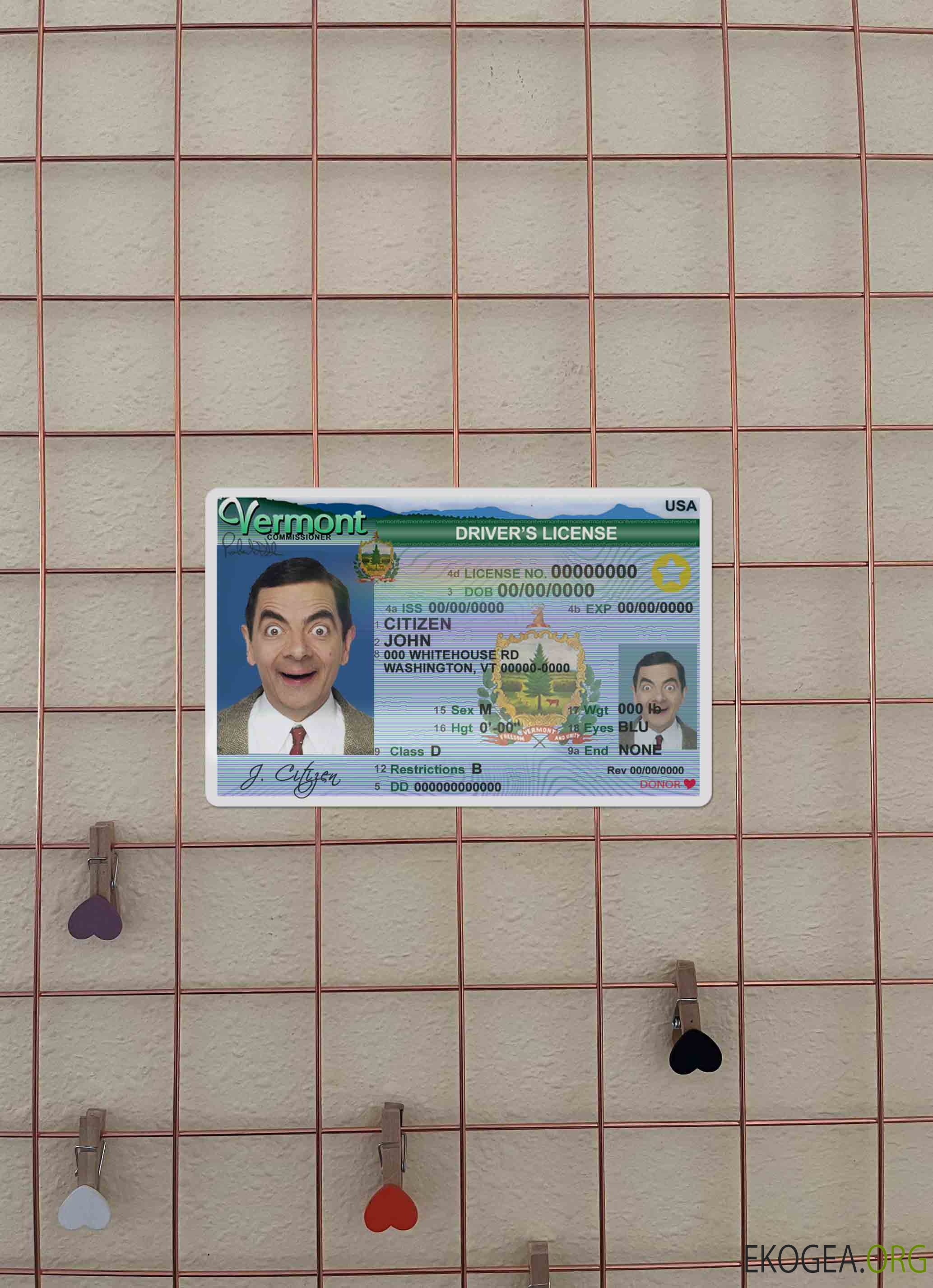 USA Vermont DL (2004 2019) photolook AVANT